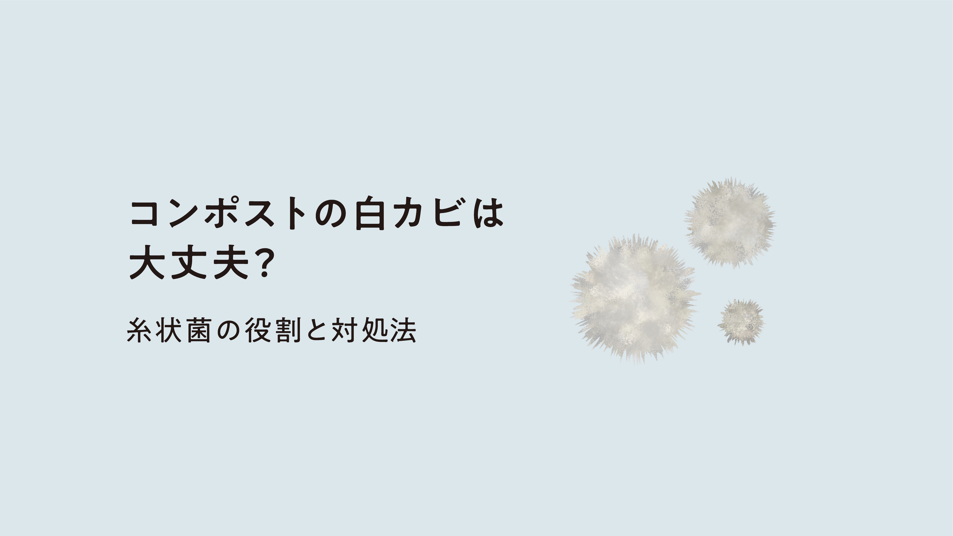 コンポストの白カビは大丈夫？糸状菌の役割と対処法