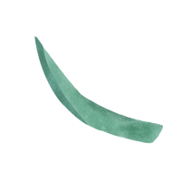 とうもろこしの葉や芯